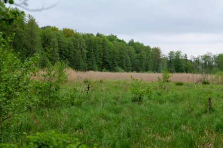 SAC Kleine Schorfheide - Havel 2021-05-29 12