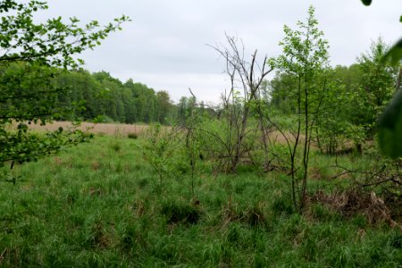 SAC Kleine Schorfheide - Havel 2021-05-29 04