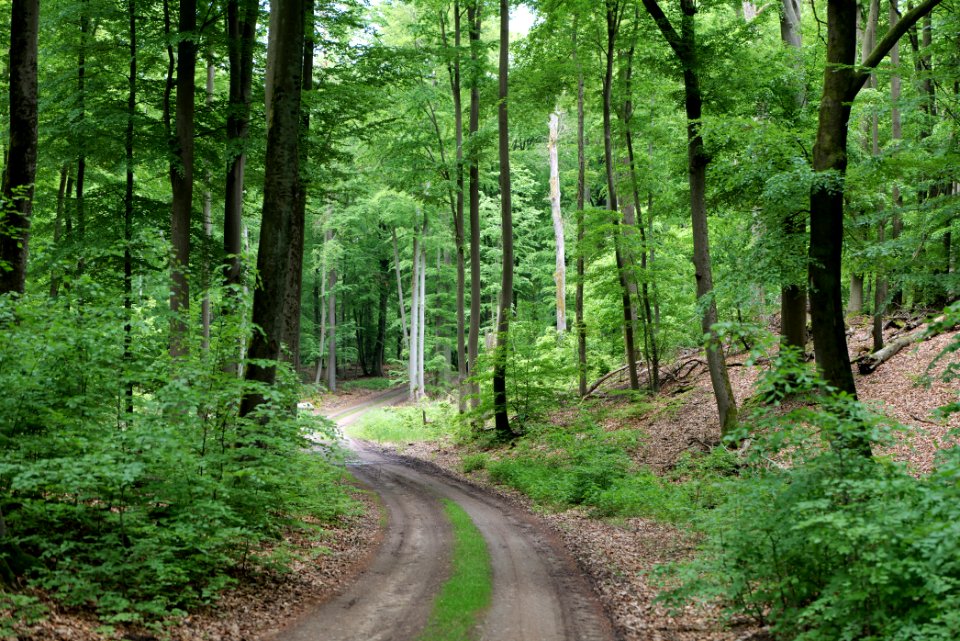 SAC Kleine Schorfheide - Havel 2021-05-29 126
