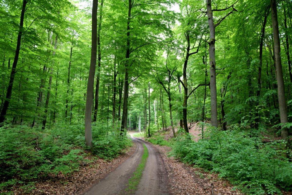 SAC Kleine Schorfheide - Havel 2021-05-29 123