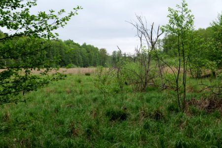 SAC Kleine Schorfheide - Havel 2021-05-29 05