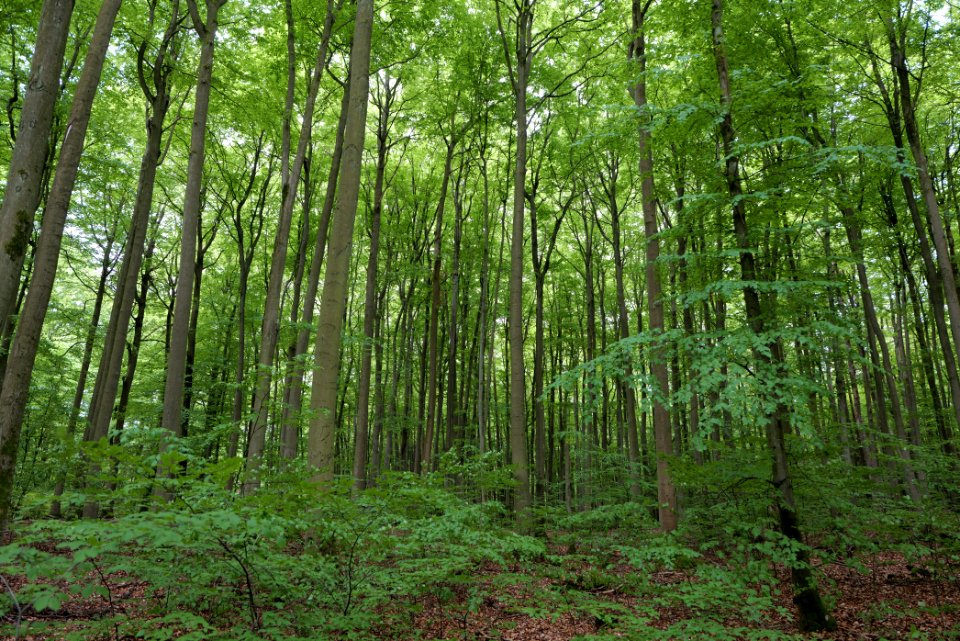 SAC Kleine Schorfheide - Havel 2021-05-29 105
