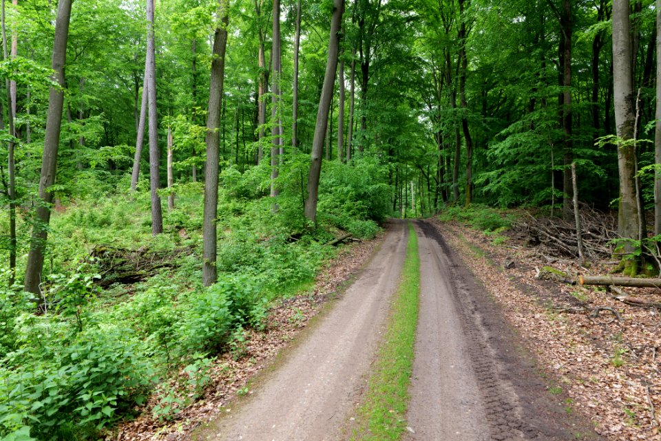 SAC Kleine Schorfheide - Havel 2021-05-29 121