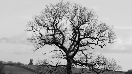 Dark mysterious gray dark
