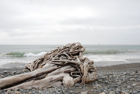 Washington state sea water