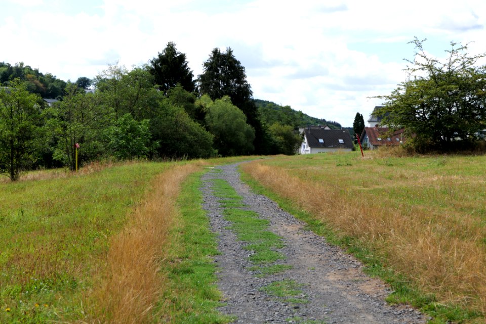 SAC Rombachtal und auf dem Bangert bei Königstein Taunus 2020-08-18 41