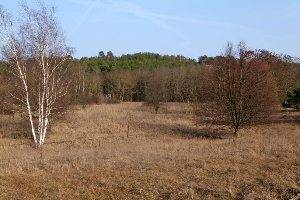 SAC Saarmunder Berg 2021-02-24 117