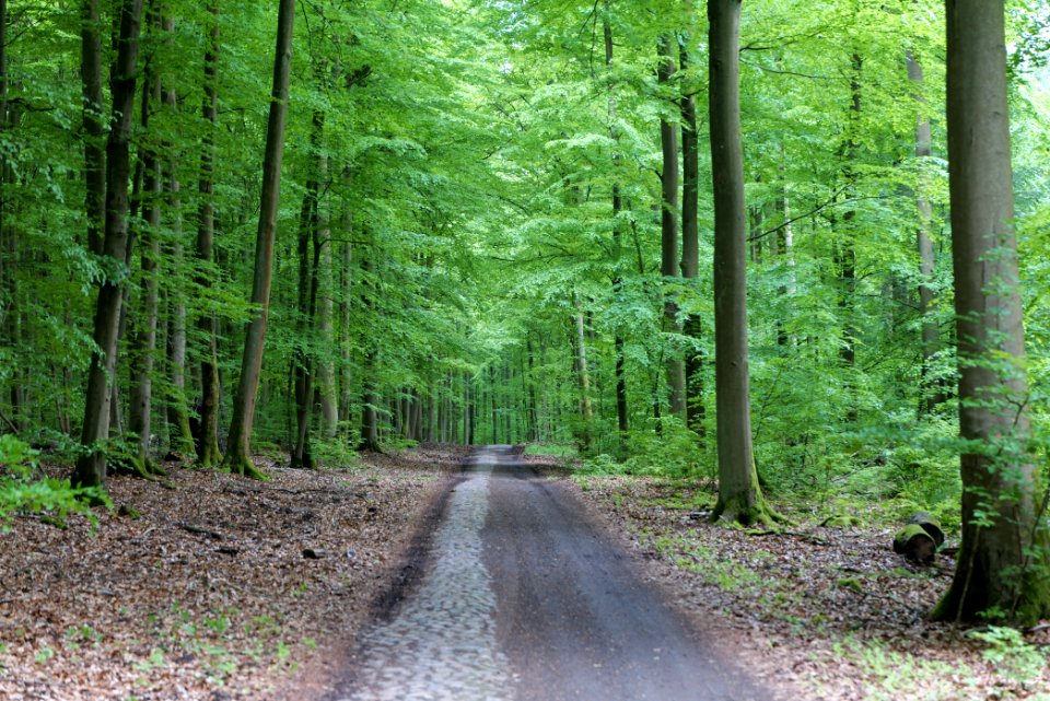 SAC Kleine Schorfheide - Havel 2021-05-29 103