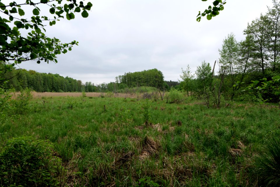 SAC Kleine Schorfheide - Havel 2021-05-29 07