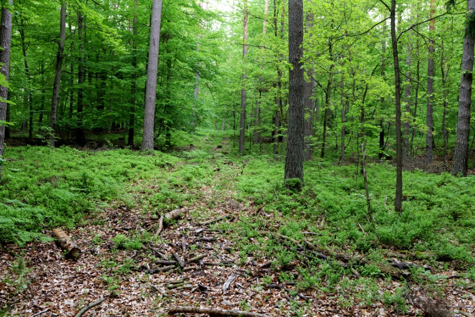 SAC Kleine Schorfheide - Havel 2021-05-29 133