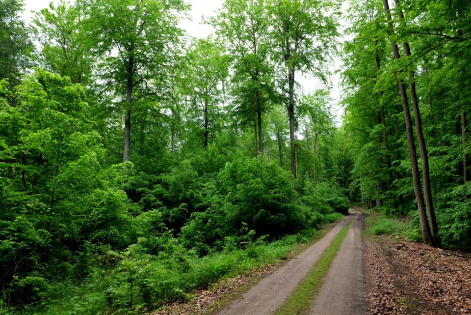 SAC Kleine Schorfheide - Havel 2021-05-29 115