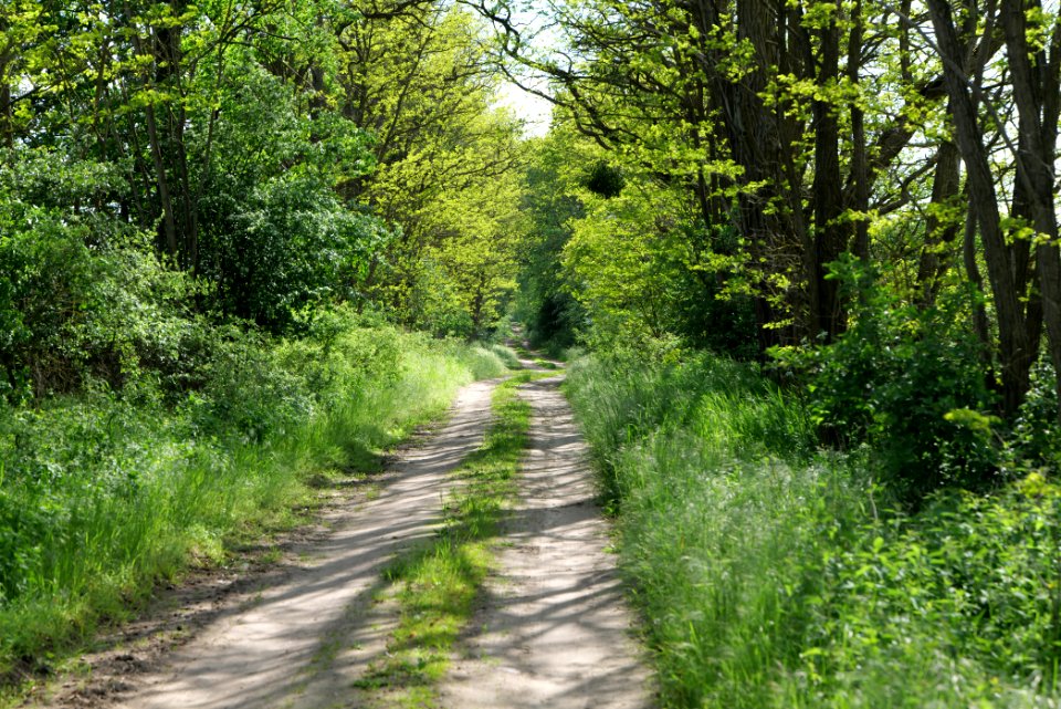 SAC Stromgewässer 2021-05-29 14