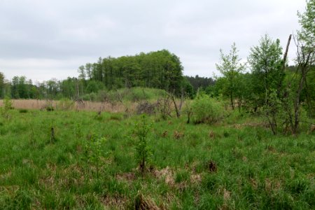 SAC Kleine Schorfheide - Havel 2021-05-29 11