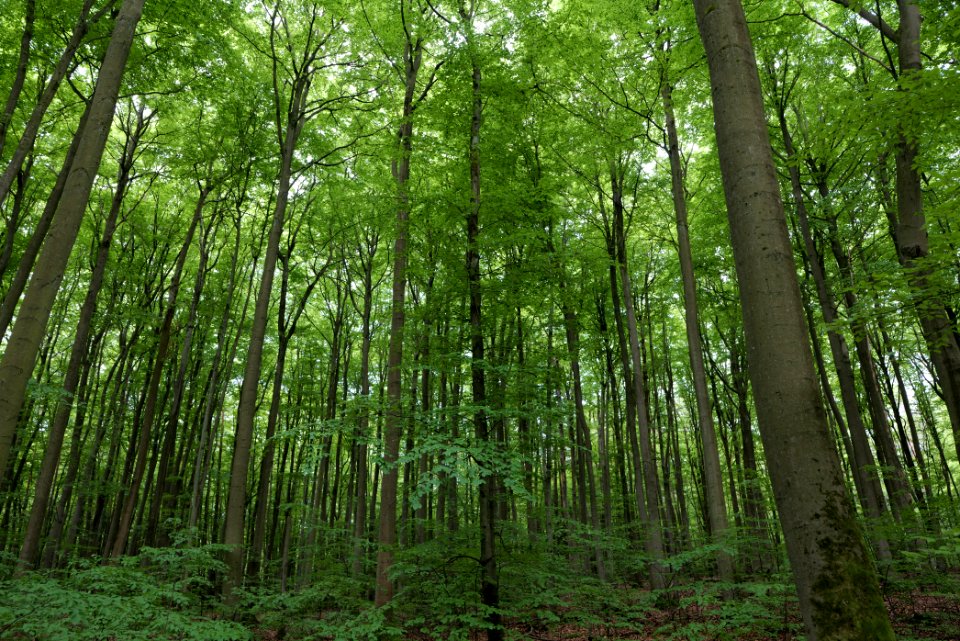 SAC Kleine Schorfheide - Havel 2021-05-29 108