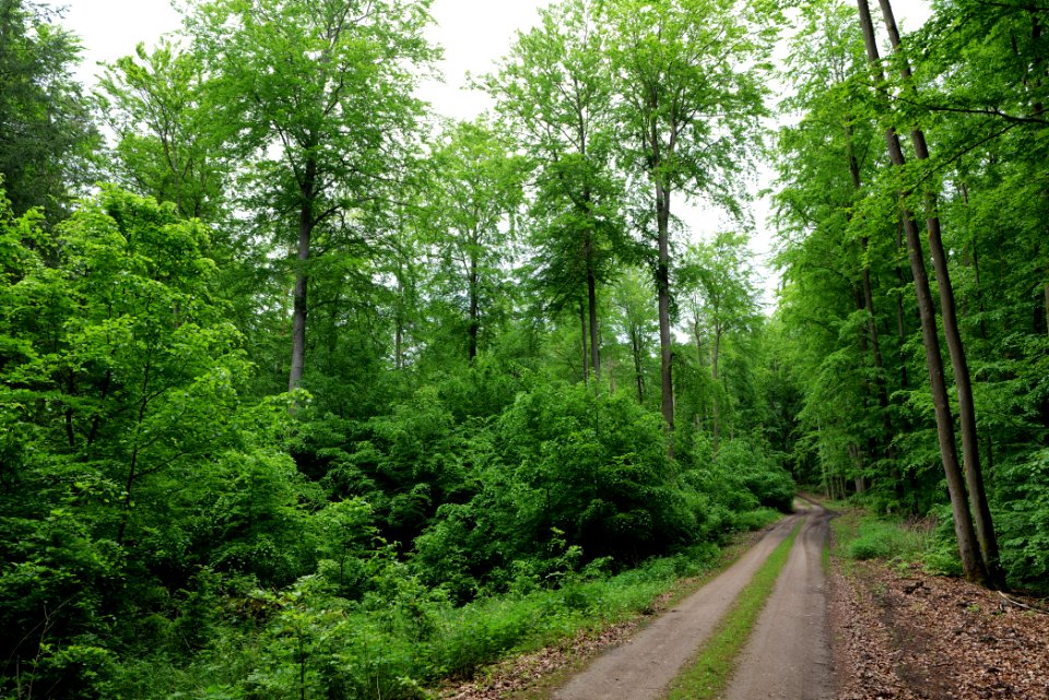 SAC Kleine Schorfheide - Havel 2021-05-29 116