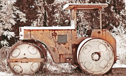 Old rots decay