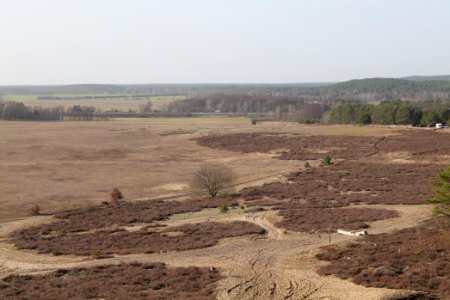 SAC Saarmunder Berg 2021-02-24 57