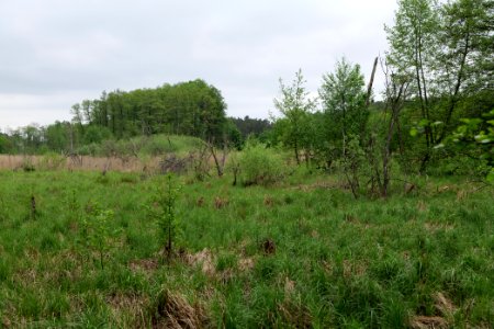 SAC Kleine Schorfheide - Havel 2021-05-29 09