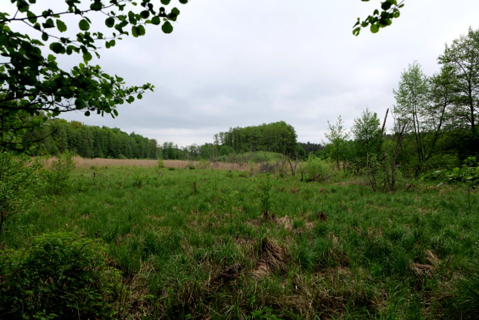 SAC Kleine Schorfheide - Havel 2021-05-29 06