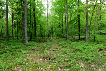 SAC Kleine Schorfheide - Havel 2021-05-29 140