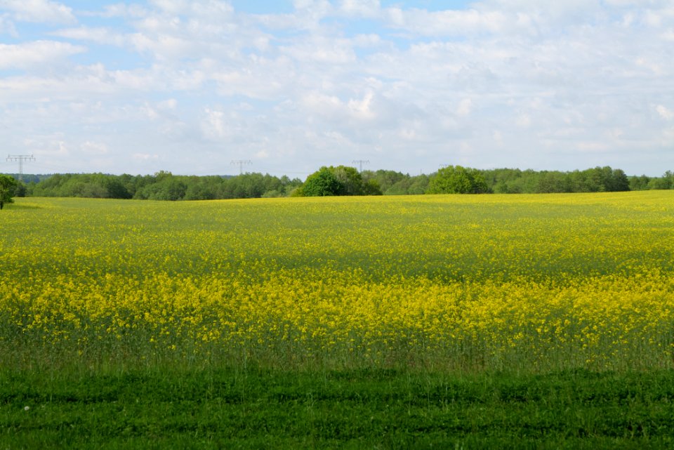 SAC Stromgewässer 2021-05-29 07