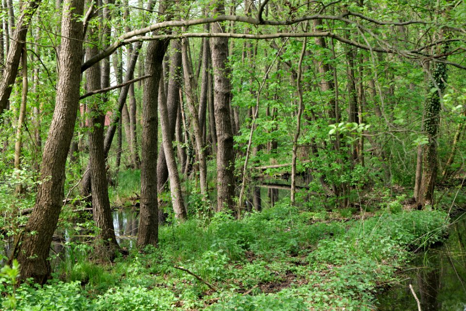 SAC Zülow-Niederung 2021-05-11 04