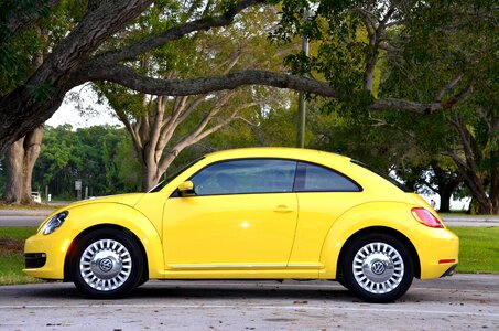 Green florida parking