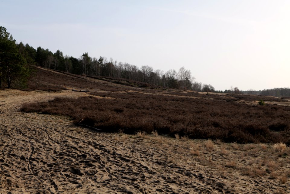 SAC Saarmunder Berg 2021-02-24 35