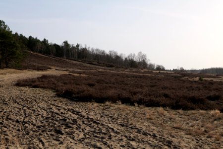 SAC Saarmunder Berg 2021-02-24 35