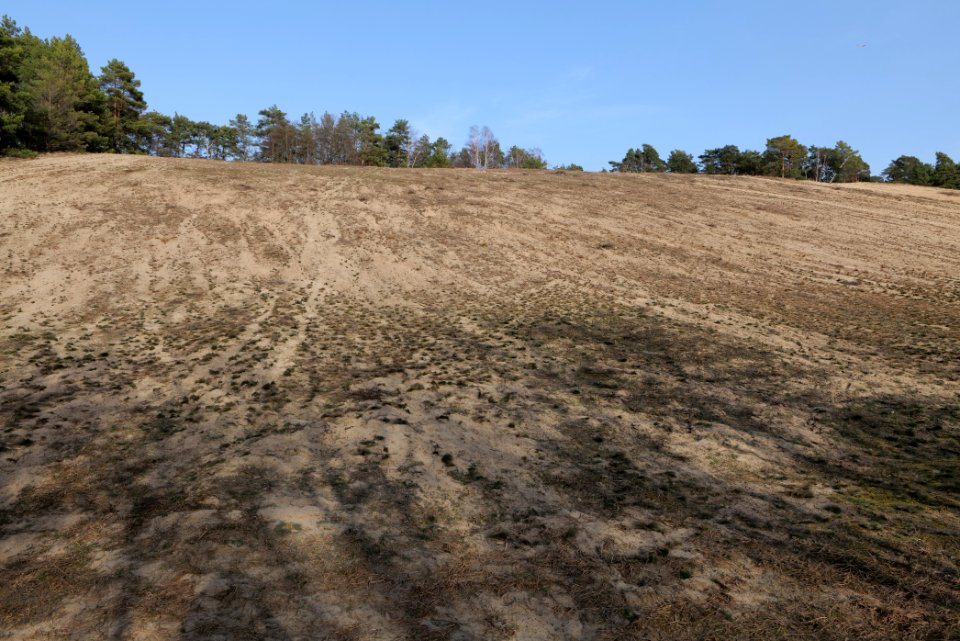 SAC Saarmunder Berg 2021-02-24 98