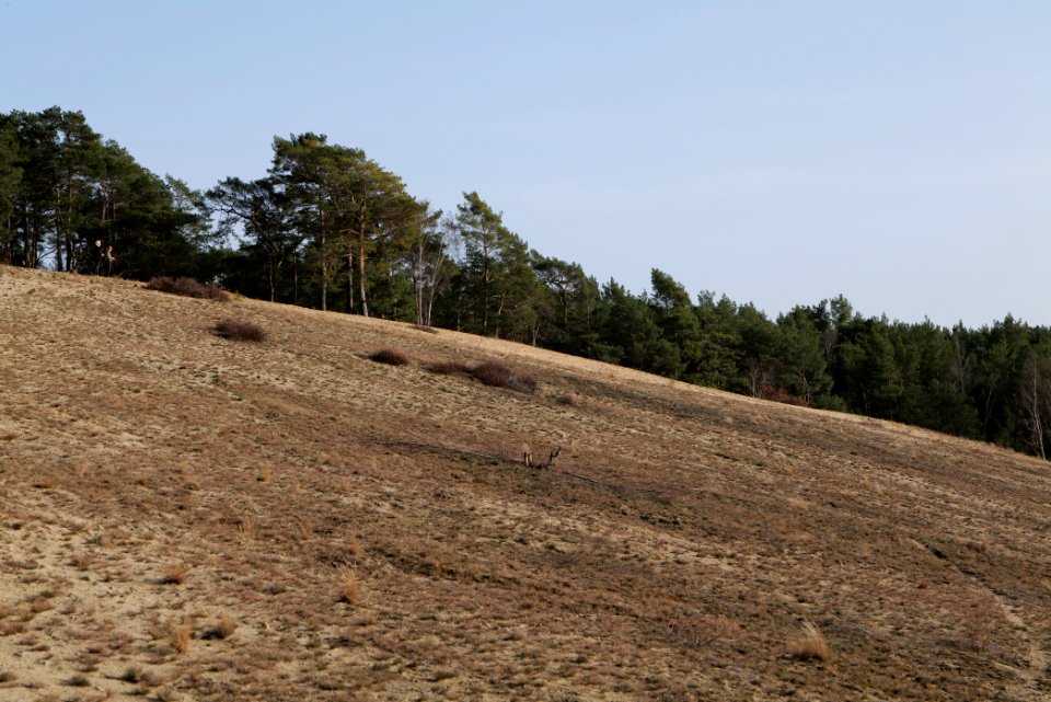 SAC Saarmunder Berg 2021-02-24 91