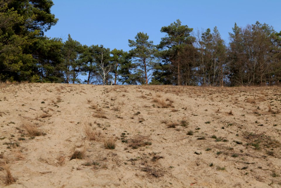 SAC Saarmunder Berg 2021-02-24 95