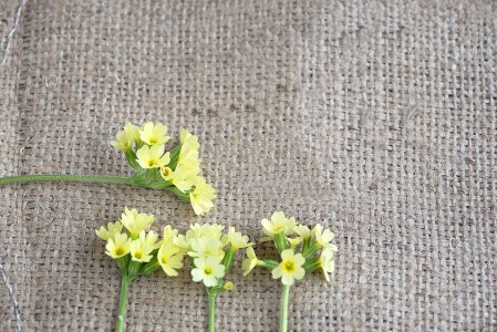 Yellow flowers four piece