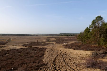 SAC Saarmunder Berg 2021-02-24 48
