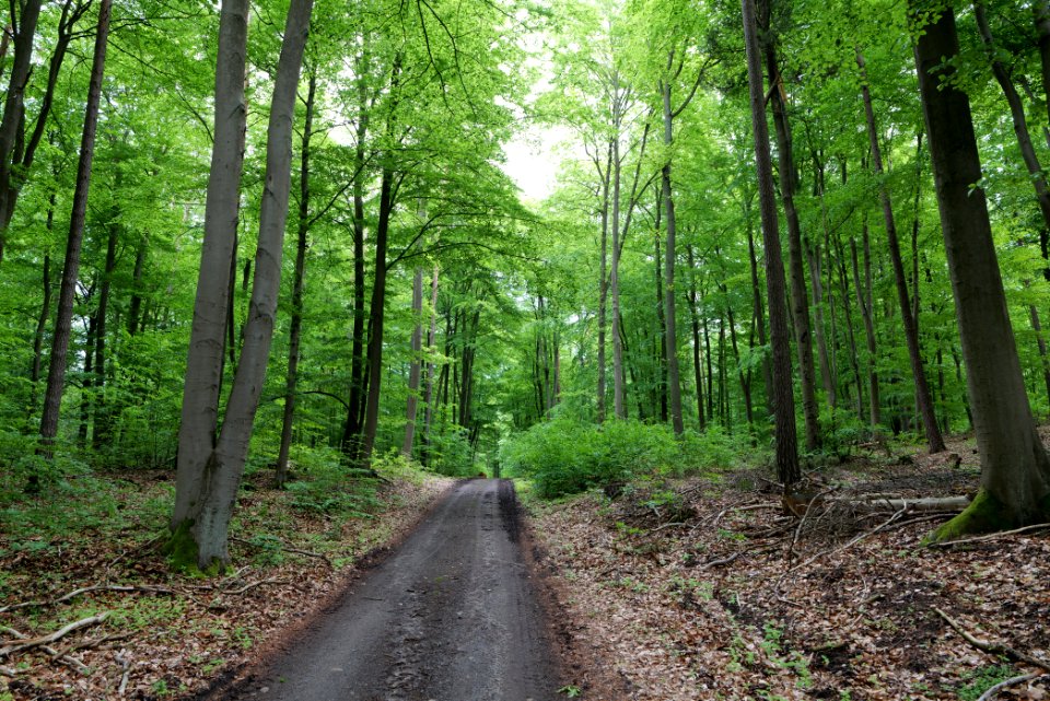 SAC Kleine Schorfheide - Havel 2021-05-29 33