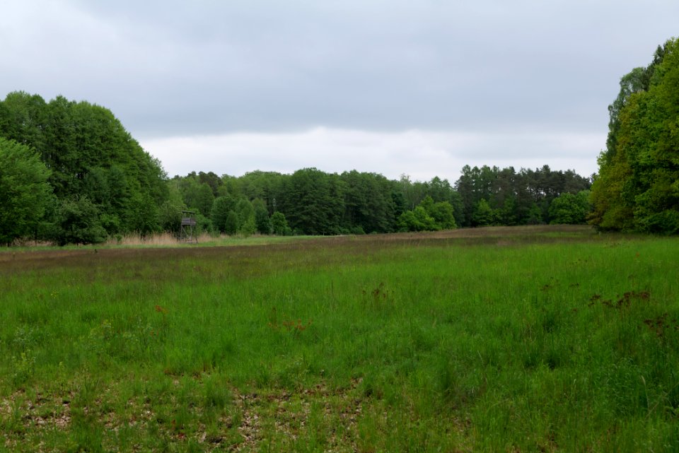 SAC Kleine Schorfheide - Havel 2021-05-29 28
