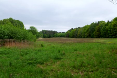 SAC Kleine Schorfheide - Havel 2021-05-29 22
