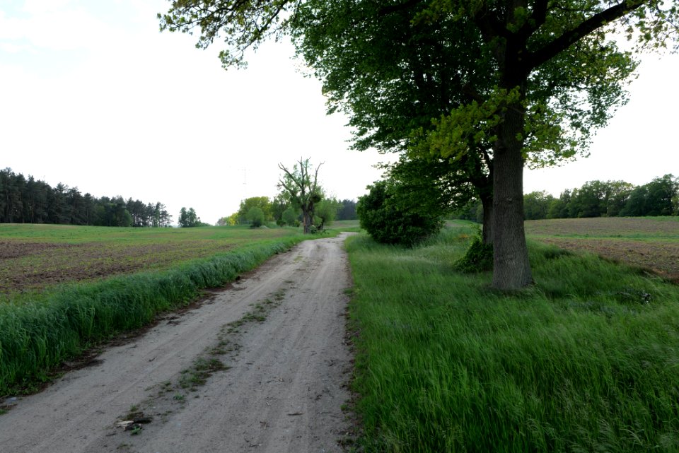 SAC Stromgewässer 2021-05-29 22