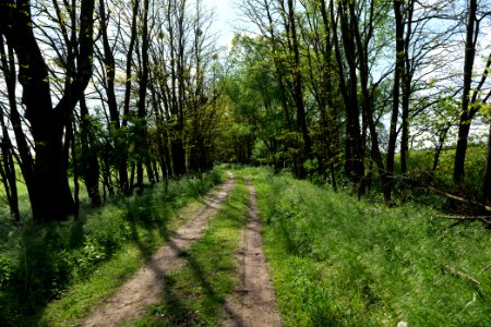 SAC Stromgewässer 2021-05-29 09