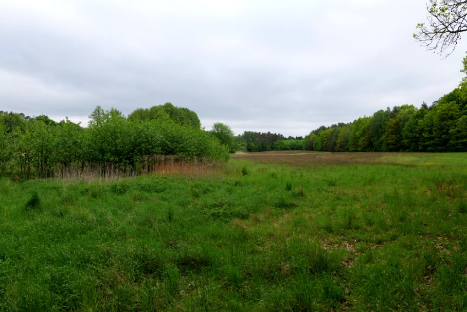 SAC Kleine Schorfheide - Havel 2021-05-29 21