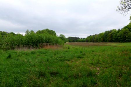SAC Kleine Schorfheide - Havel 2021-05-29 21