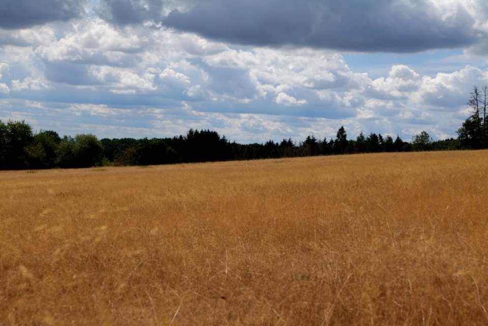 SAC Rombachtal und auf dem Bangert bei Königstein Taunus 2020-08-18 118
