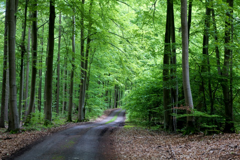 SAC Kleine Schorfheide - Havel 2021-05-29 77