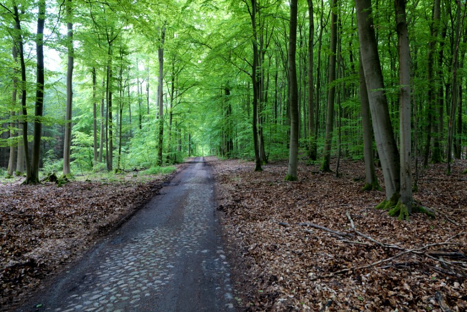 SAC Kleine Schorfheide - Havel 2021-05-29 98