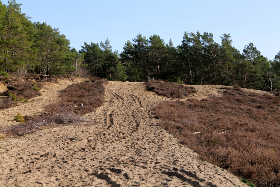 SAC Saarmunder Berg 2021-02-24 45