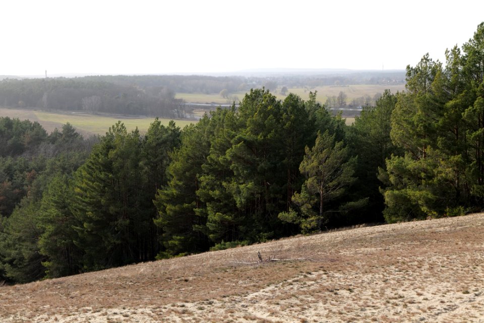 SAC Saarmunder Berg 2021-02-24 87