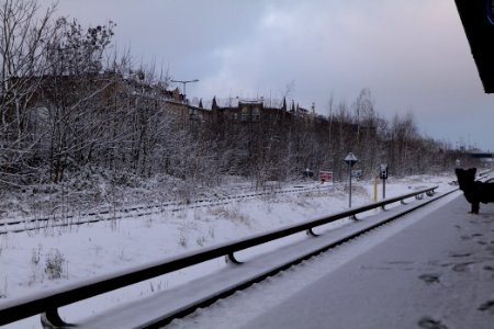 S Friedenau with snow 2021-01-30 02
