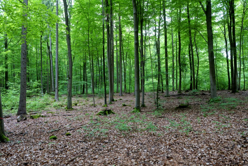 SAC Kleine Schorfheide - Havel 2021-05-29 78