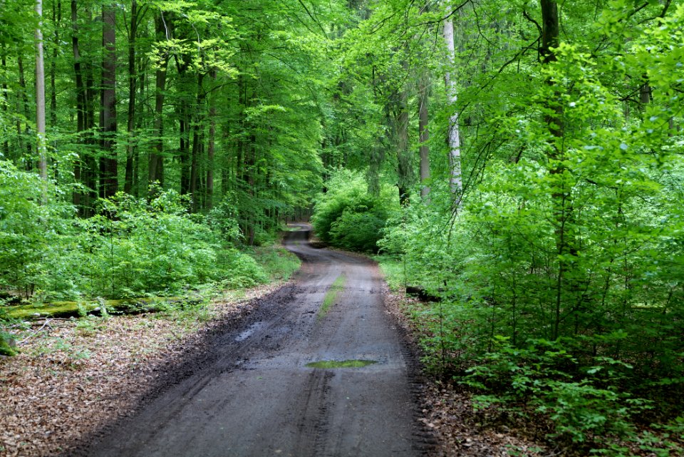 SAC Kleine Schorfheide - Havel 2021-05-29 89