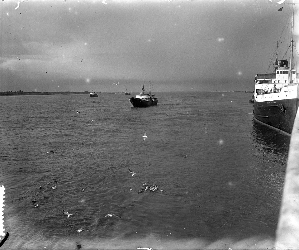 S. S. Faustus gezonken in Nieuwe Waterweg . De scheepvaart ligt stil, Bestanddeelnr 905-4038